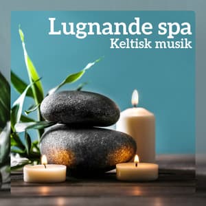 Lugnande spa - Keltisk musik för djup avkoppling, Massage, Lugna din kropp och själ - Lugn Spa Akademi