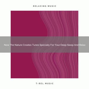 2021 New: Now The Nature Creates Tunes Specially For Your Deep Sleep And Relax - White Noise Ambience