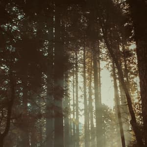 10 Chakras: Outside And Alive - between waves