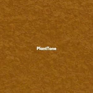PlantTone - Jazzy Studying Music