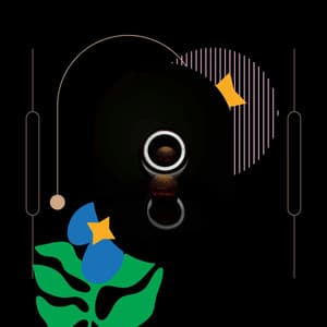 Music for More Feelings - Ristorante Jazz Playlist