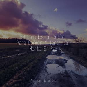 50 Sonidos En Bucle Para Dormir Y Tener La Mente En Paz - Canciones Para Niños
