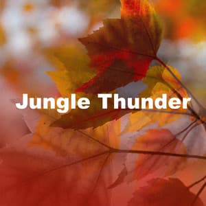 Jungle Thunder - Natures Acoustics