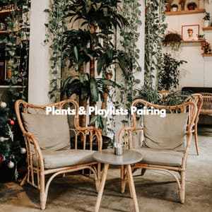 Plants & Playlists Pairing - Soft Coffee Shop Music