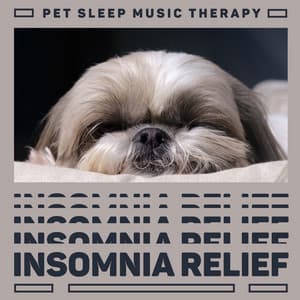 Pet Sleep Music Therapy: Insomnia Relief - Calming Ambient in Anxiety, Relaxation of Body Tensions in Stress, Dog and Cat Peace of Mind, Therapeutic Surroundings - Pet Music Doctor