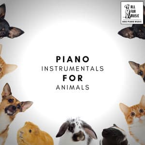Piano Instrumentals For Animals - Jingle Cats