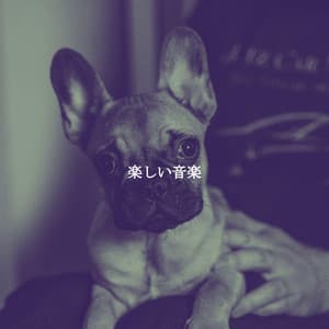 楽しい音楽 - Jazz Romance