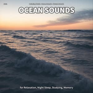 #001 Ocean Sounds for Relaxation, Night Sleep, Studying, Memory - Relaxing music