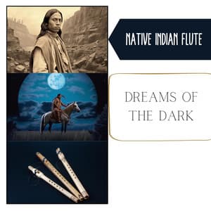 Dreams of the Dark: Native Melodies & Nocturnal Nature - Native Indian Flute