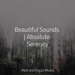 Beautiful Sounds | Absolute Serenity - Sleep Waves