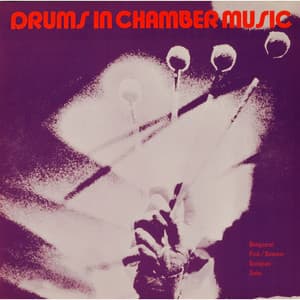 Drums in Chamber Music - Siegfried Fink