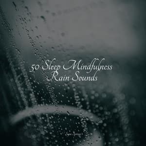 50 Sleep Mindfulness Rain Sounds - Rainforest