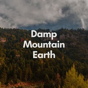 Damp Mountain Earth - Nature & Sounds Backgrounds