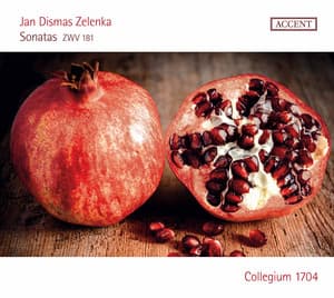 Zelenka: 6 Sonatas, ZWV 181 - Jan Dismas Zelenka