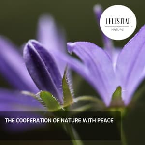 The Cooperation of Nature With Peace - Nature Radiance