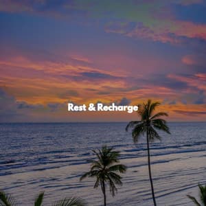 Rest & Recharge - Wednesday Morning Jazz Playlist
