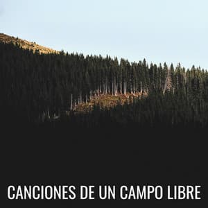 Canciones De Un Campo Libre - Registradores de campo natural