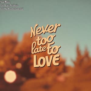 Never Too Late to Love - Soul.Music