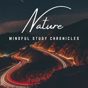 Mindful Study Melodies: A Learning Quest - Spiritual Medicine