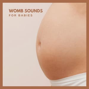 Womb Sounds for Babies - Background Noise From TraxLab