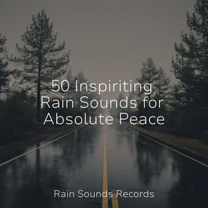 50 Inspiriting Rain Sounds for Absolute Peace - Avslappning Sound