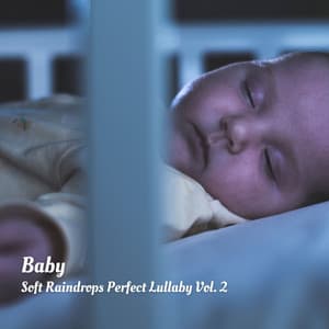Baby: Soft Raindrops Perfect Lullaby Vol. 2 - Pure Baby Sleep