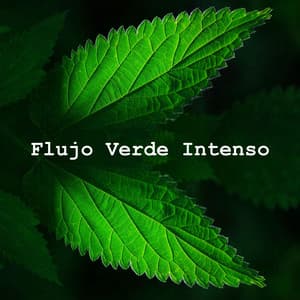 Flujo Verde Intenso - Sonidos De Aves