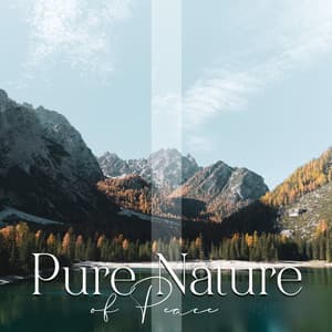 Pure Nature of Peace: The Best Nature Ringtones, Soothing Nature Sounds - Sound Effects Zone
