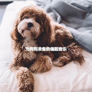 为狗狗准备的催眠音乐 - Speakeasy Jazz Playlist