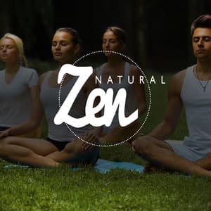 Natural Zen - Ambiance nature