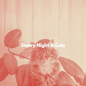Starry Night & Cats - Música para dormir Gatos