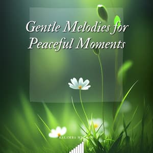 Gentle Melodies for Peaceful Moments - Kalimba Melody