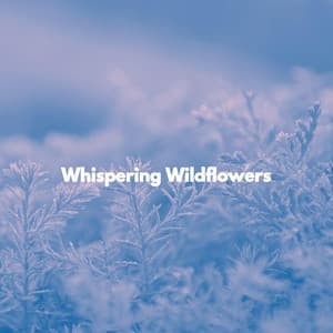 Whispering Wildflowers - Coffee Shop Playlist