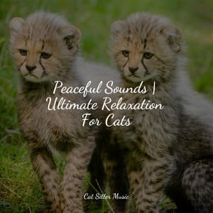 Peaceful Sounds | Ultimate Relaxation For Cats - Music for Cats TA