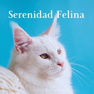 Serenidad Felina: Olas Del Océano Binaural Para Gatos - Ritmo binaural