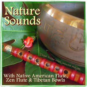 Nature Sounds with Native American Flute, Tibetan Bowls & Zen Flutes - Jessita Reyes