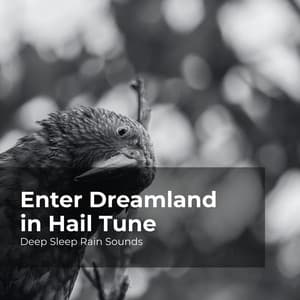 Enter Dreamland in Hail Tune - Deep Sleep Rain Sounds