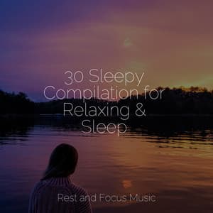 30 Sleepy Compilation for Relaxing & Sleep - Study Music & Sounds