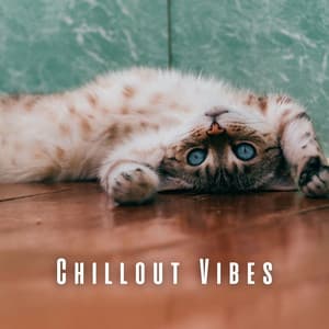 Chillout Vibes: Lofi Soundscapes for Tranquil Cat Time - HipHopBeatster