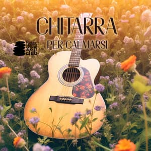 Chitarra per calmarsi - Relax musica zen club