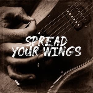 Spread Your Wings - 70s Music All Stars