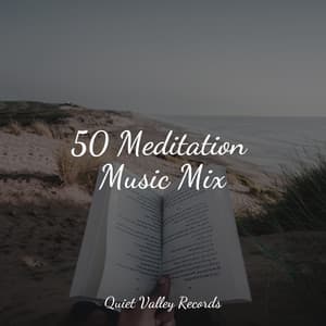 50 Meditation Music Mix - Mother Nature Sound FX