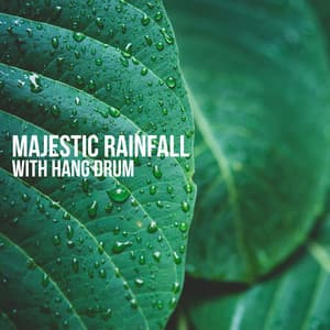 Majestic Rainfall with Hang Drum - David Kernes