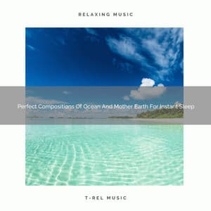 Perfect Compositions Of Ocean And Mother Earth For Instant Sleep - Nature Sound Series