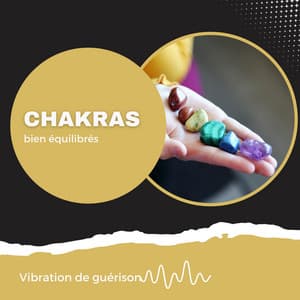 Chakras bien équilibrés - Élimine blocage énergétique - Vibration de guérison