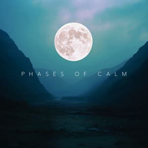 Phases of Calm: Crystal Consciousness, Healing Horizons - Meditative Moments!