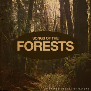 Songs of the Forests - Relaxing Sounds Of Nature