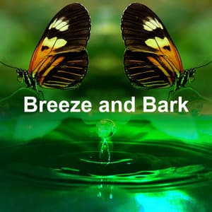 Breeze and Bark - Mountain Man Recordings