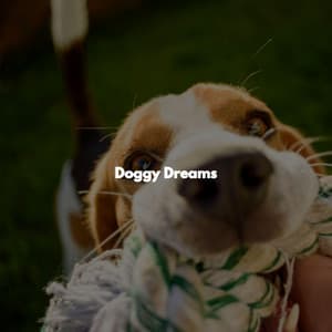 Doggy Dreams - Jazz for Work