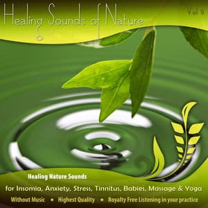 Healing Nature Sounds for Insomnia, Anxiety, Stress, Tinnitus, Babies, Massage & Yoga - Vol. 5 - The Healing Sounds of Nature